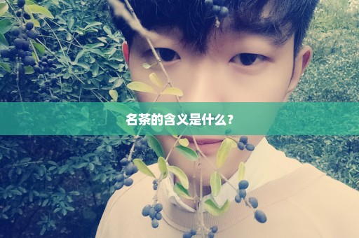 名茶的含义是什么？