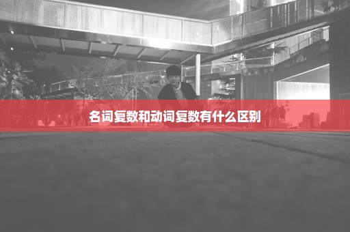 名词复数和动词复数有什么区别