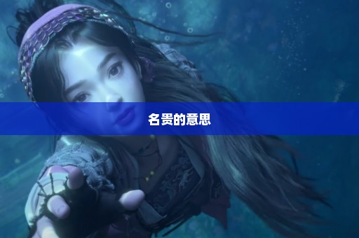 名贵的意思