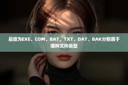后缀为EXE、COM、BAT、TXT、DAT、BAK分别属于哪种文件类型