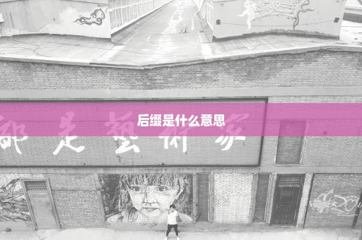 后缀是什么意思
