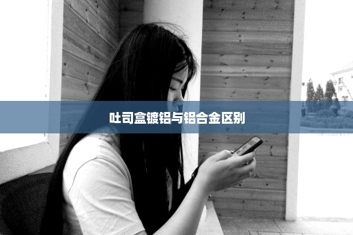 吐司盒镀铝与铝合金区别