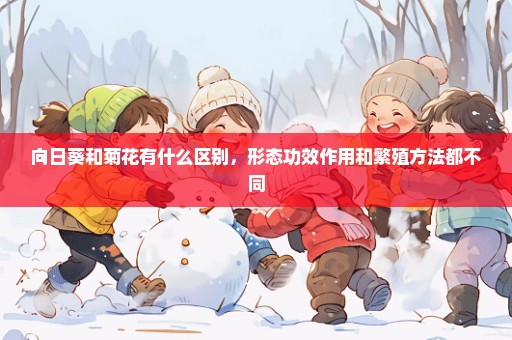 向日葵和菊花有什么区别，形态功效作用和繁殖方法都不同