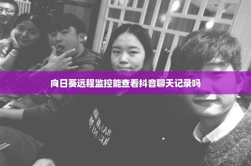 向日葵远程监控能查看抖音聊天记录吗