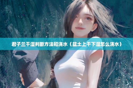 君子兰干湿判断方法和浇水（盆土上干下湿怎么浇水）