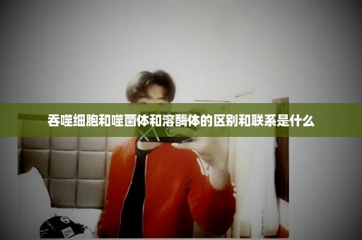 吞噬细胞和噬菌体和溶酶体的区别和联系是什么