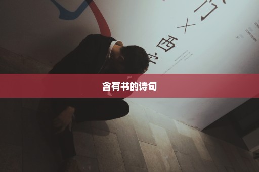 含有书的诗句