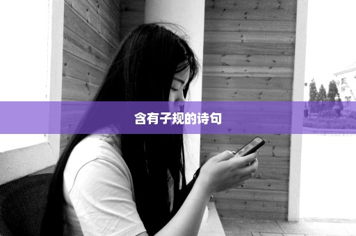 含有子规的诗句