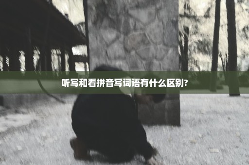 听写和看拼音写词语有什么区别?
