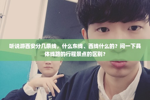 听说游西安分几条线，什么东线、西线什么的？问一下具体线路的行程景点的区别？