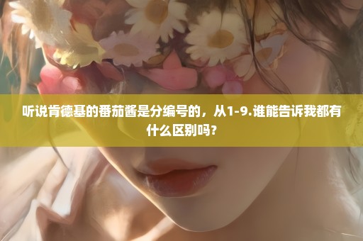听说肯德基的番茄酱是分编号的，从1-9.谁能告诉我都有什么区别吗？