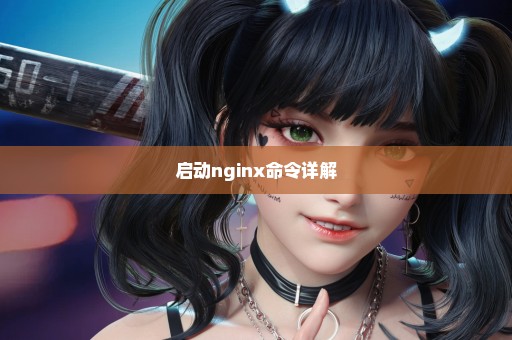 启动nginx命令详解