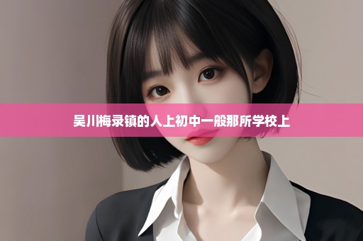 吴川梅录镇的人上初中一般那所学校上