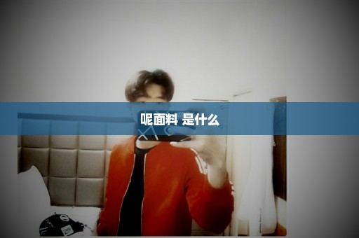 呢面料 是什么