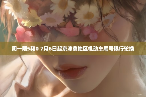 周一限5和0 7月6日起京津冀地区机动车尾号限行轮换