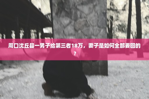 周口沈丘县一男子给第三者18万，妻子是如何全部要回的？