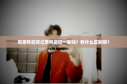 周黑鸭和周记黑鸭是同一家吗？有什么区别啊？