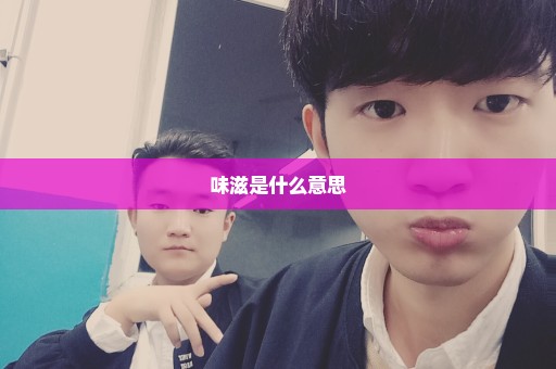 味滋是什么意思