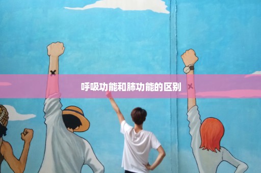 呼吸功能和肺功能的区别