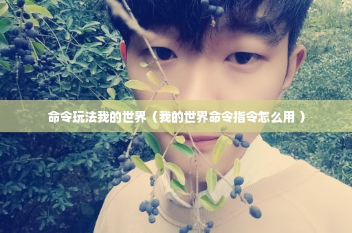 命令玩法我的世界（我的世界命令指令怎么用 ）