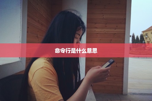 命令行是什么意思
