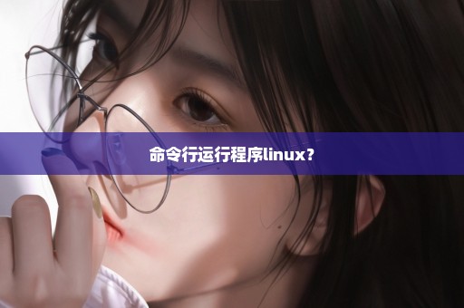 命令行运行程序linux？