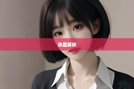 命盘解析