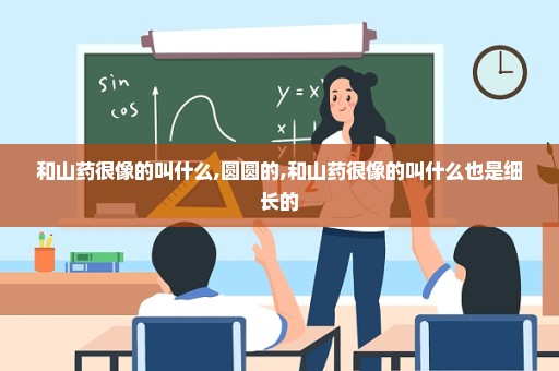 和山药很像的叫什么,圆圆的,和山药很像的叫什么也是细长的