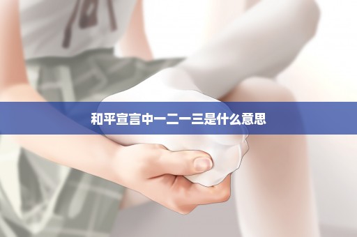 和平宣言中一二一三是什么意思