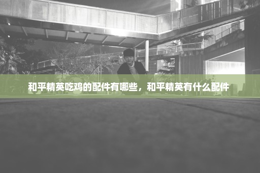 和平精英吃鸡的配件有哪些，和平精英有什么配件 
