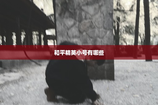 和平精英小号有哪些