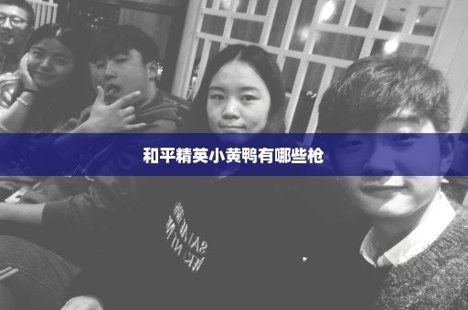 和平精英小黄鸭有哪些枪
