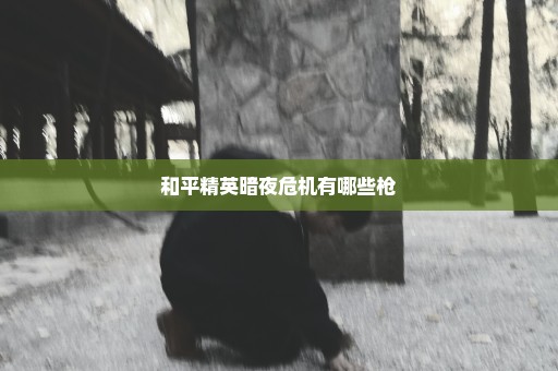 和平精英暗夜危机有哪些枪