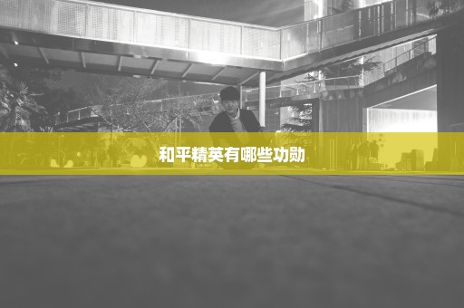 和平精英有哪些功勋
