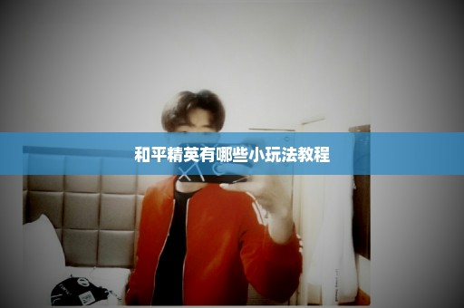 和平精英有哪些小玩法教程