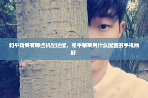 和平精英有哪些机型适配，和平精英用什么配置的手机最好 