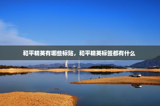 和平精英有哪些标贴，和平精英标签都有什么 