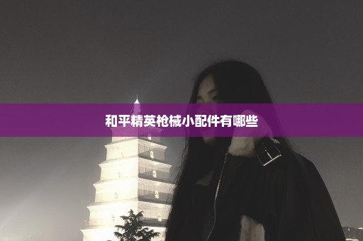 和平精英枪械小配件有哪些