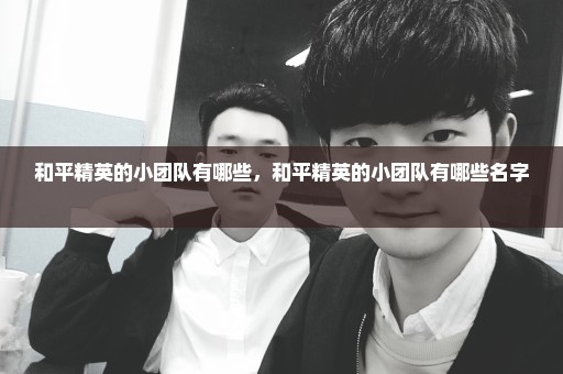 和平精英的小团队有哪些，和平精英的小团队有哪些名字 