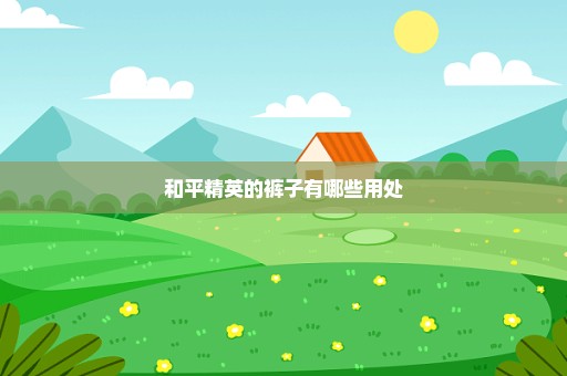 和平精英的裤子有哪些用处