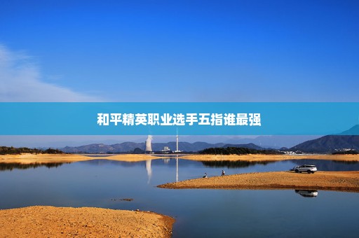 和平精英职业选手五指谁最强