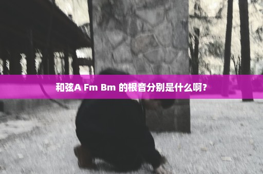 和弦A Fm Bm 的根音分别是什么啊？