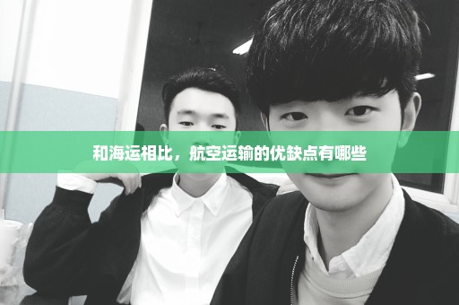 和海运相比，航空运输的优缺点有哪些