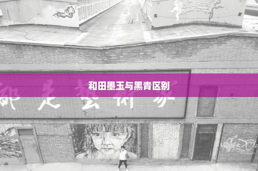 和田墨玉与黑青区别