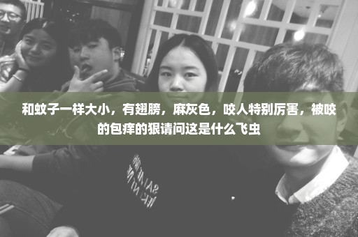 和蚊子一样大小，有翅膀，麻灰色，咬人特别厉害，被咬的包痒的狠请问这是什么飞虫