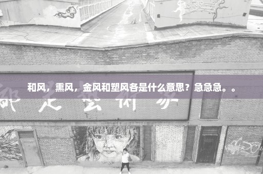 和风，熏风，金风和塑风各是什么意思？急急急。。