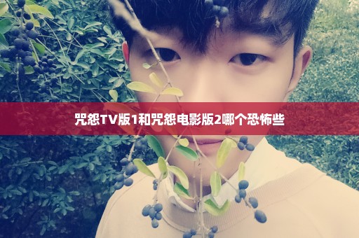 咒怨TV版1和咒怨电影版2哪个恐怖些