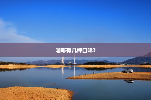 咖啡有几种口味？