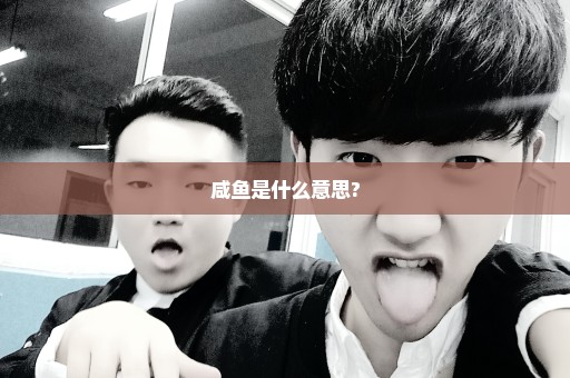 咸鱼是什么意思?