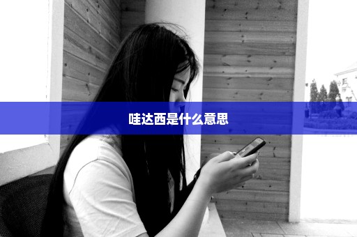哇达西是什么意思